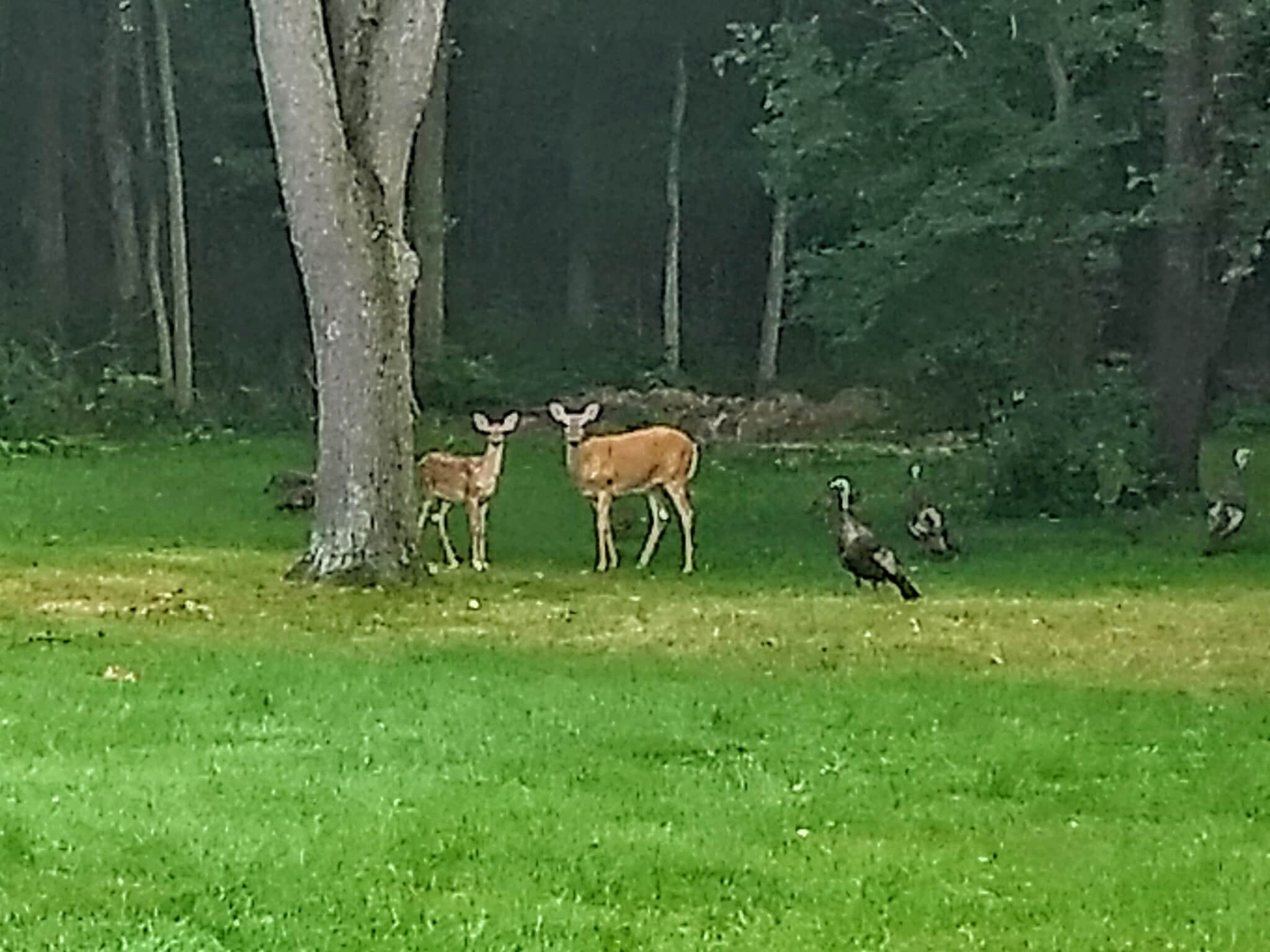 Building Photo - 16351 Petro Dr