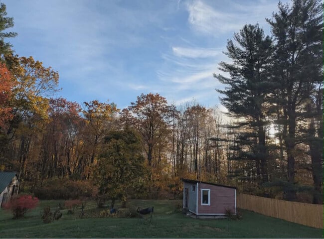 Building Photo - 133 Howe St