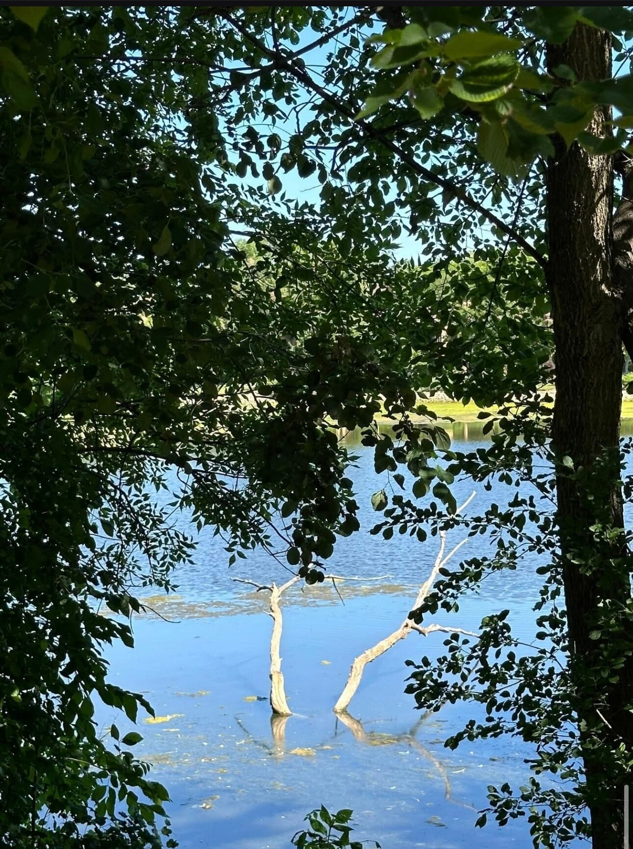 Building Photo - 6169 Knoll Wood Rd