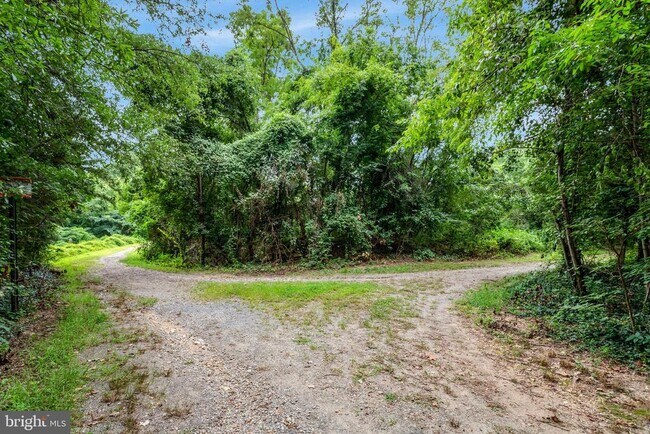 Building Photo - 7510 Ashby Ln