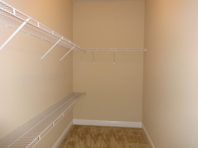 Building Photo - 30113 Saddlebred Ln