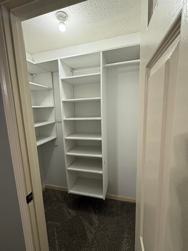 Building Photo - 2805 Morning Woods Dr