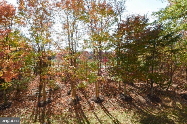 Building Photo - 43265 Morven Square