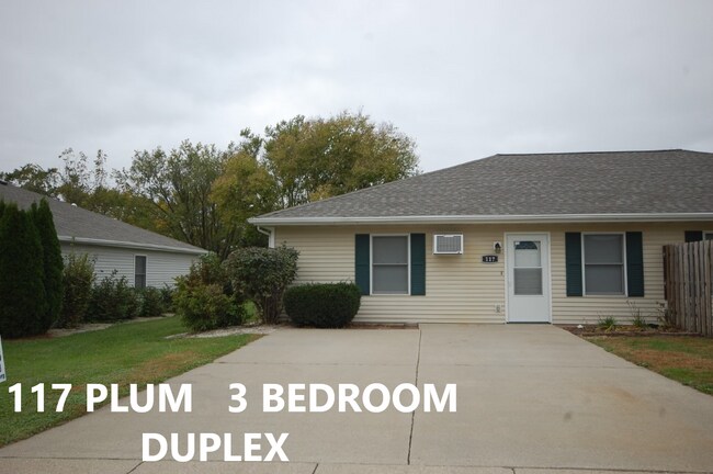 Building Photo - 115-117 South Plum