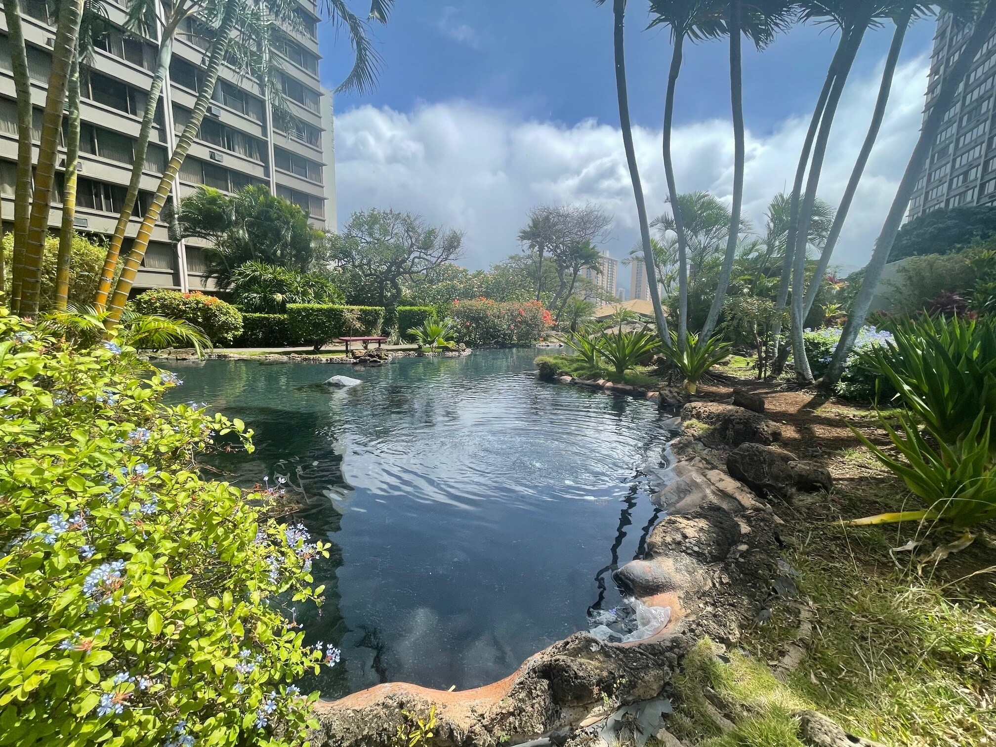 Pond - 55 S Kukui St