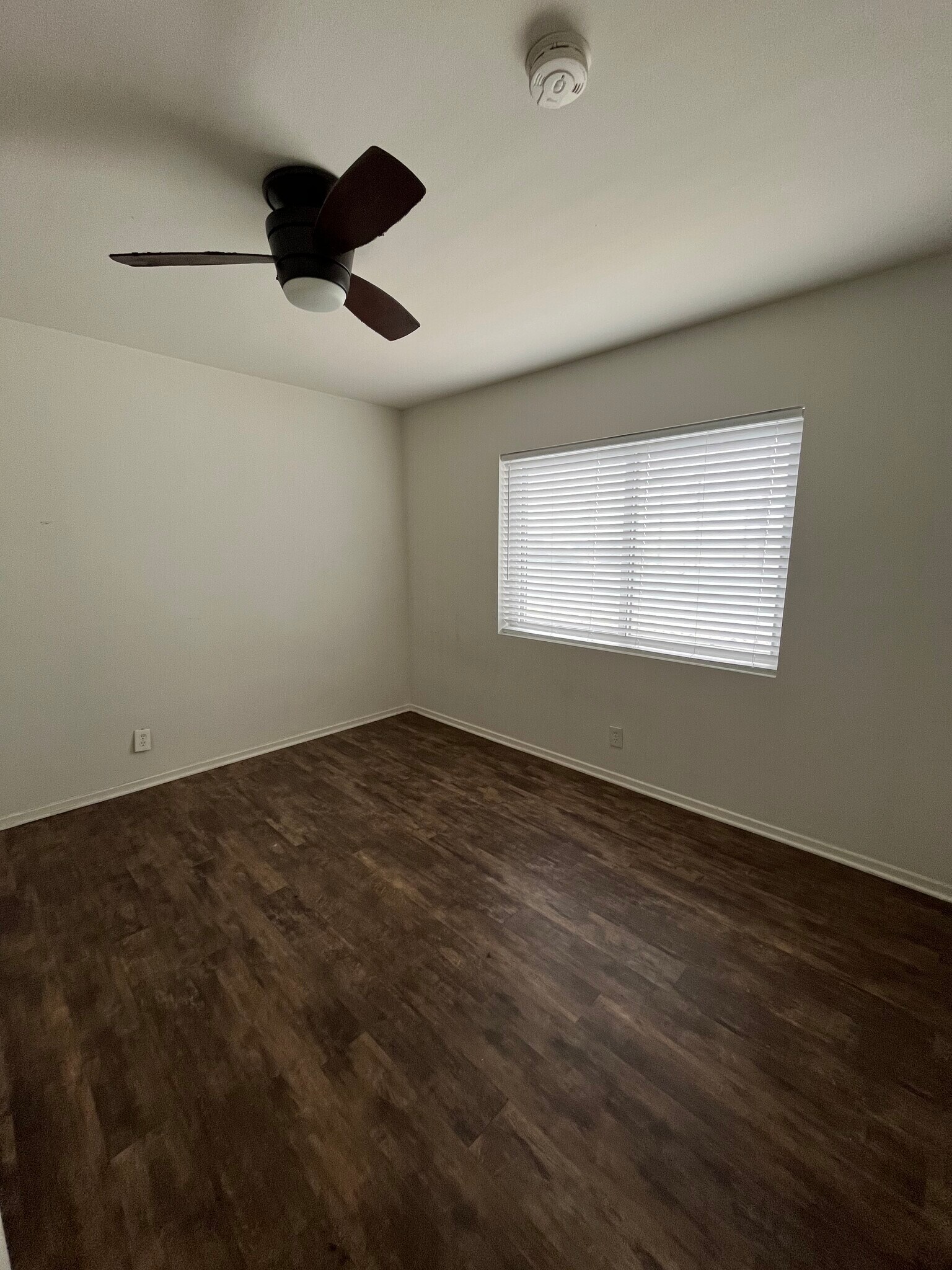 Building Photo - 956 Eucalyptus Dr