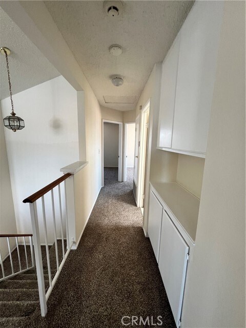Building Photo - 1195 Bautista Ln