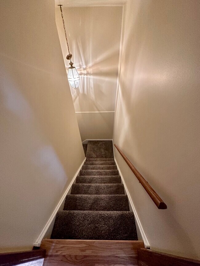 Stairway To Lower Level - 1010 Arbor Ct