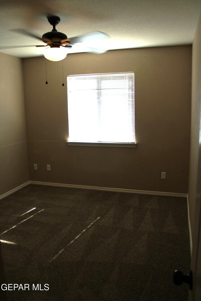 Building Photo - 3100 Amistoso St