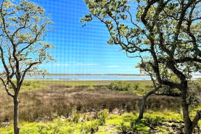 Building Photo - 28 Alcira Ct