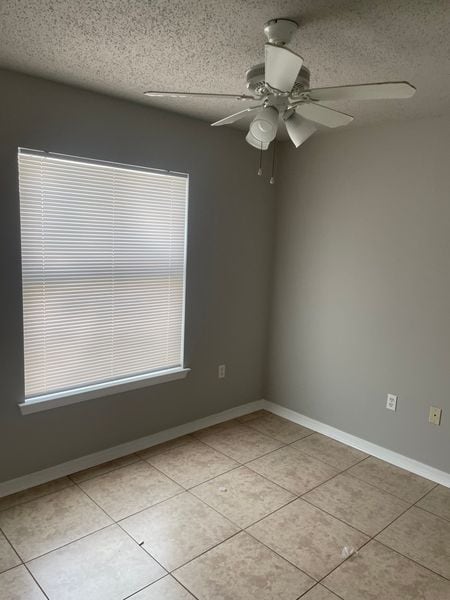 Building Photo - 313 3rd St