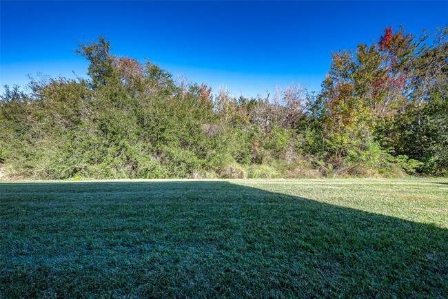 Building Photo - 207 Black Springs Ln