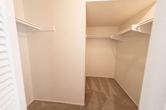 Building Photo - 2374 Caringa Way