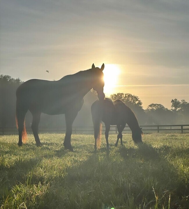 Building Photo - Beautiful 11.16 Acre Farm with Lots of Amenities!
