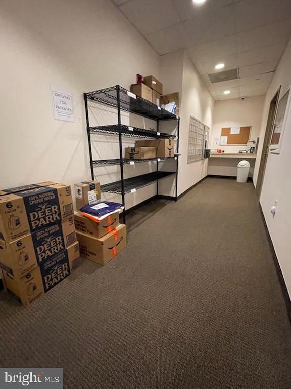 Building Photo - 511 N Broad St