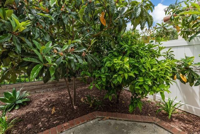 Building Photo - 1115 Ballata Ct