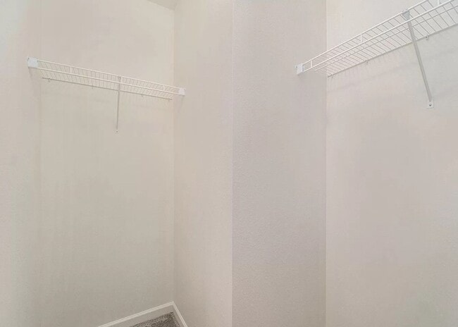 Building Photo - 4 Bedroom Available in Tiburon!