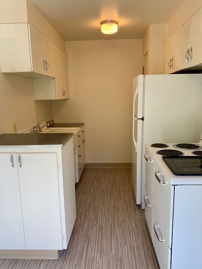 Interior Photo - Blue Dolphin