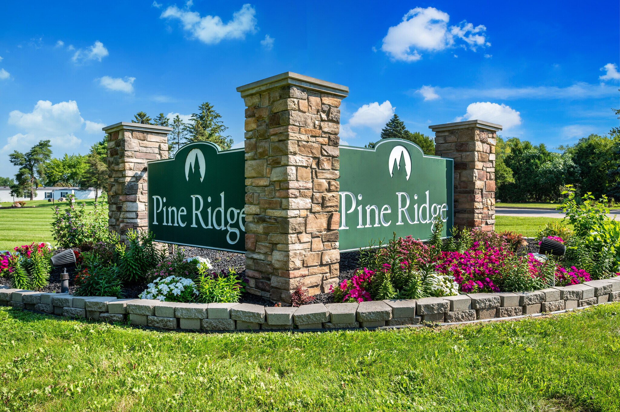 Building Photo - 9363 Little Spruce Ct