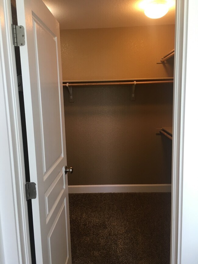 Building Photo - Gorgeous Stapleton Townhome!