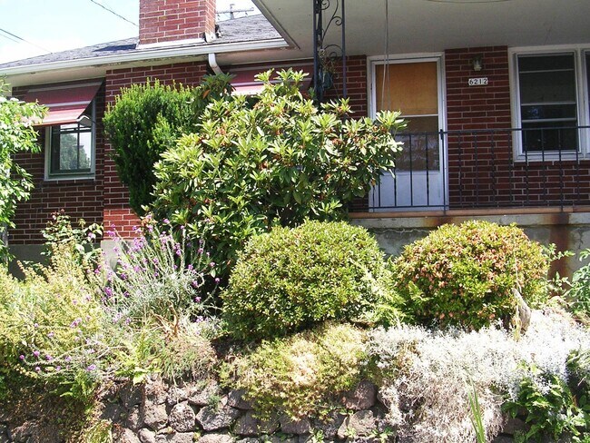 Primary Photo - 266