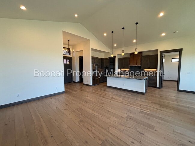Building Photo - Brand New, Mountain Modern Home on Genoa R...