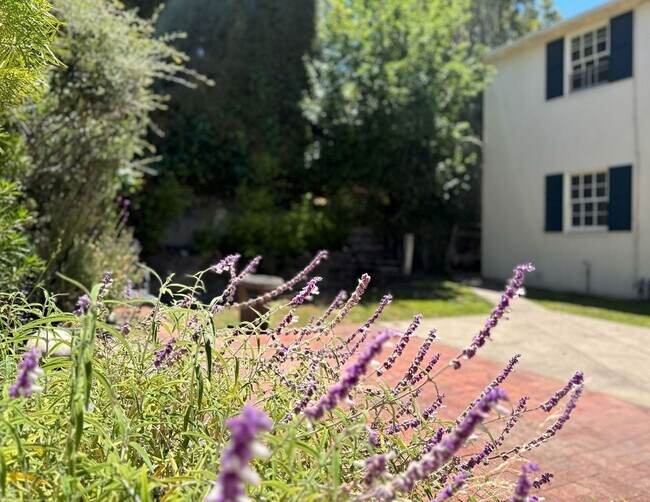 Building Photo - This is a Berkeley Lifestyle. | 3BR | 1.5BA | 1,450 SF | Just Steps from Campus