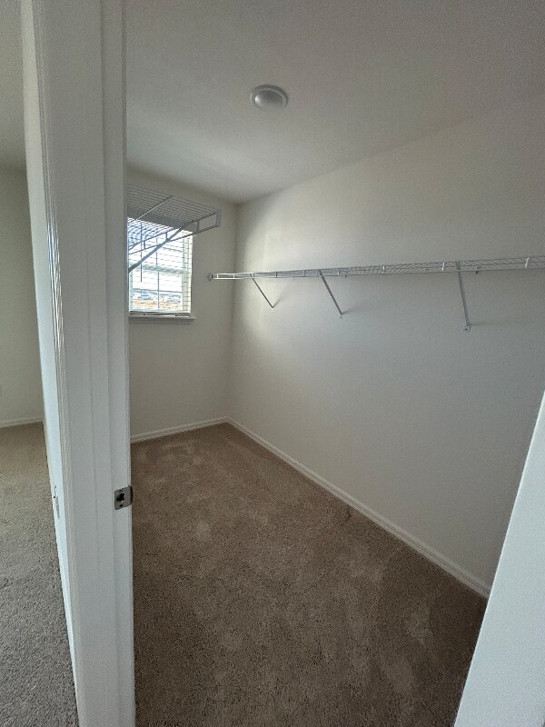 Building Photo - 10647 Ironwood Tree Wy