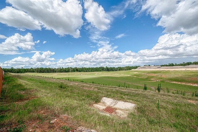 Building Photo - 24330 Elmwood Falls Dr