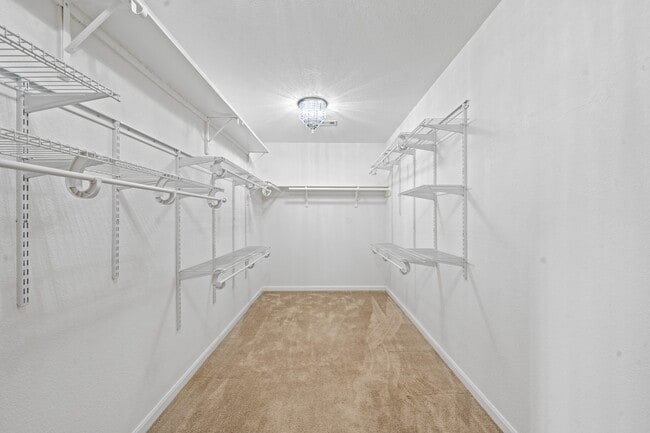 Building Photo - 5007 Pine Ridge Knoll Ct