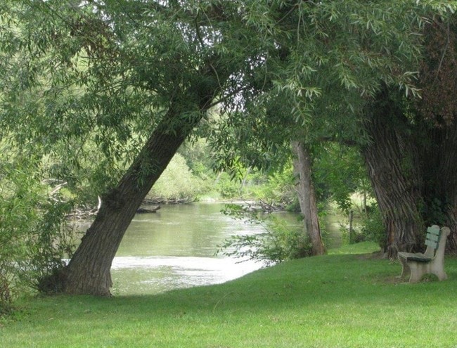 Primary Photo - Riverside Apartments and Virginia Manor