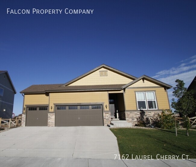 Fully Upgraded 4bd in Banning Lewis Ranch 7162 Laurel Cherry Ct