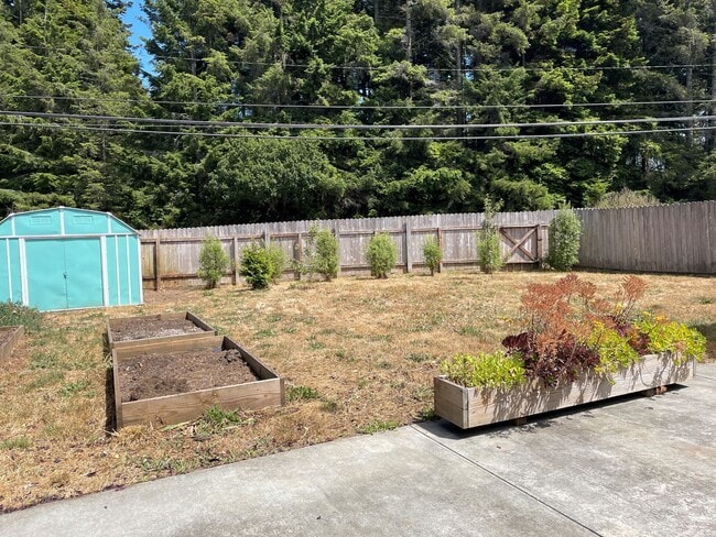 Building Photo - Charming 3-Bedroom Home in Desirable Cutte...