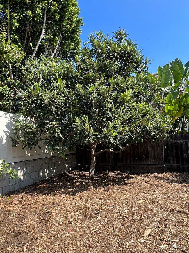 Building Photo - Charming Remodeled 2 Bed/1 Bath Home in Sa...