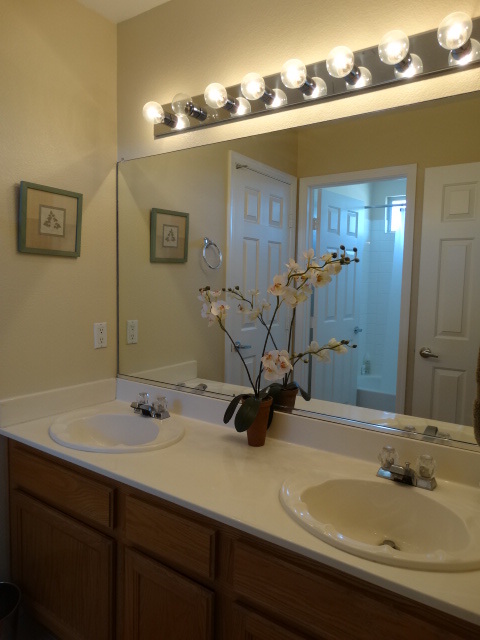 Building Photo - 4513 Long Horse Ct