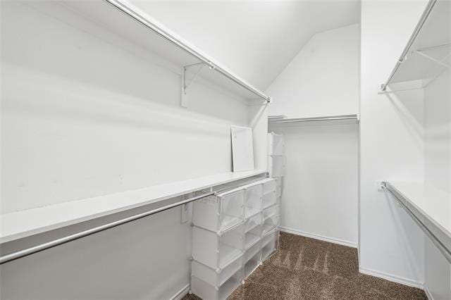 Building Photo - 7305 Danbridge Ln