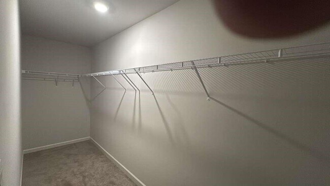 Building Photo - 2213 Blue Monarch Dr