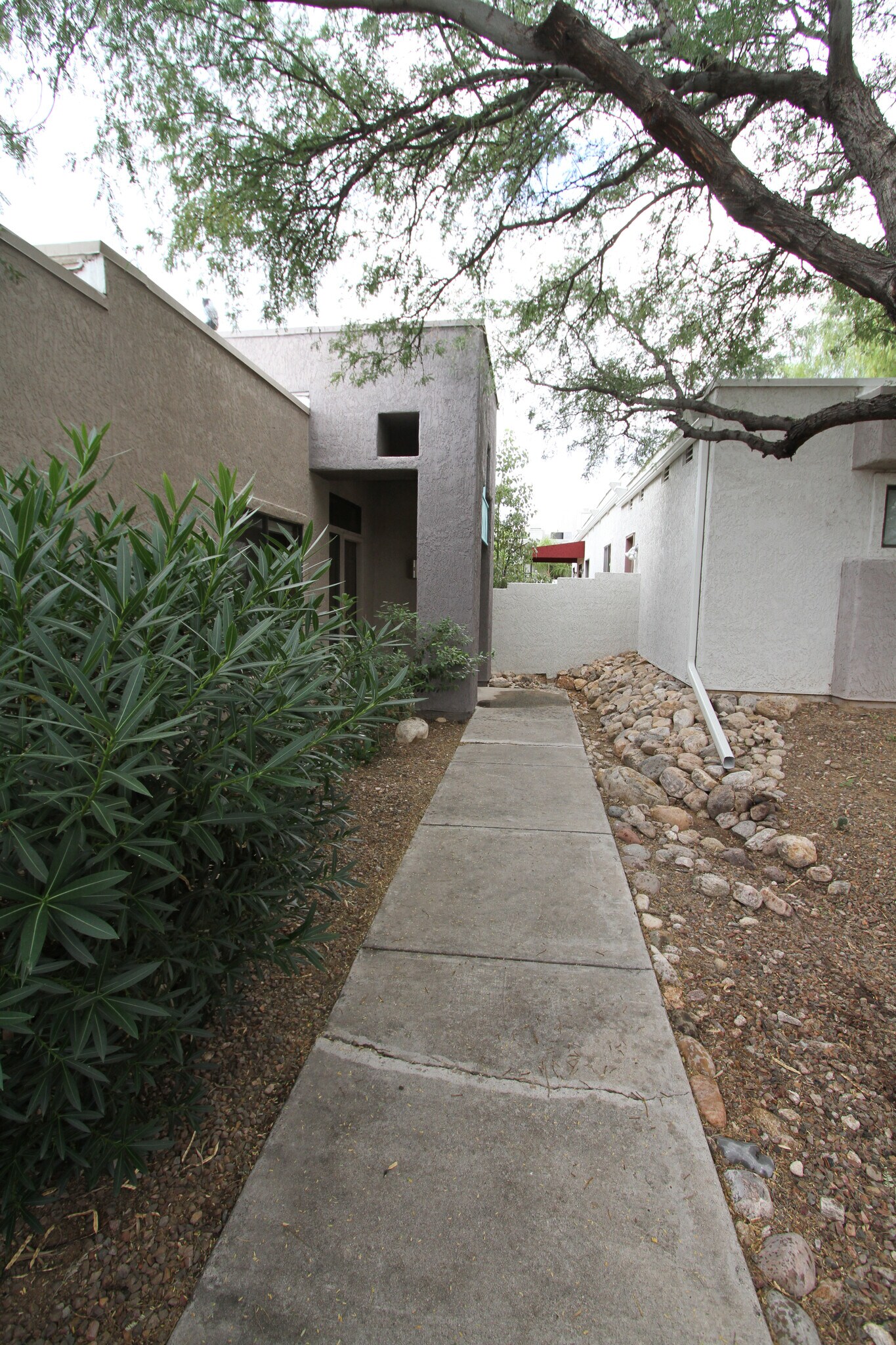 Front walkway - 5557 N Mica Mountain Dr