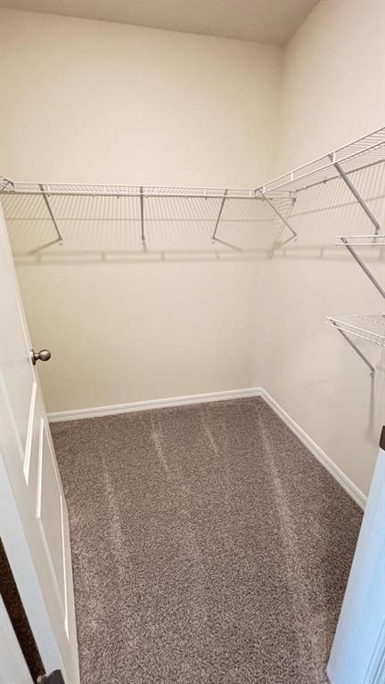 Building Photo - 914 Princess Sabal Pt