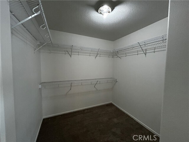 Building Photo - 4210 Cloudywing Rd