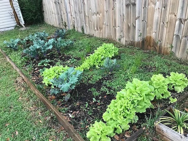 Building Photo - 6 Tennessee Dr