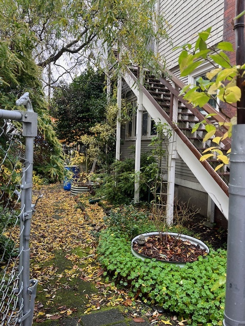 Stairs to apartment - 1129 16th Ave