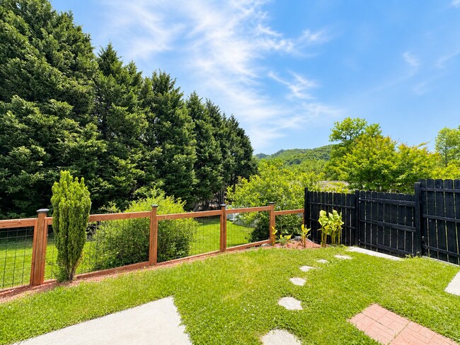 Building Photo - Black Mountain Townhome