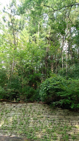 wooded backyard - W1200 S Shore Dr