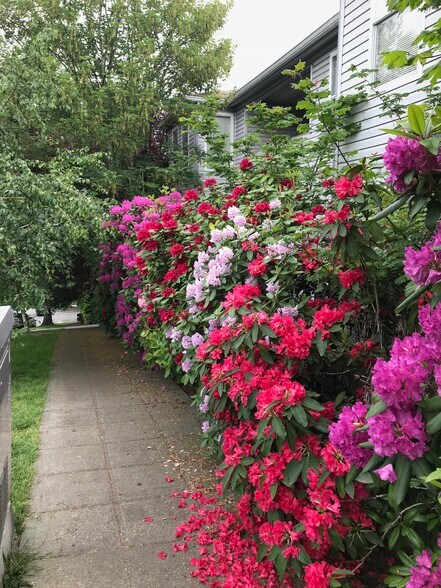 Sidewalk on North Side in May - 132 24th Ave E