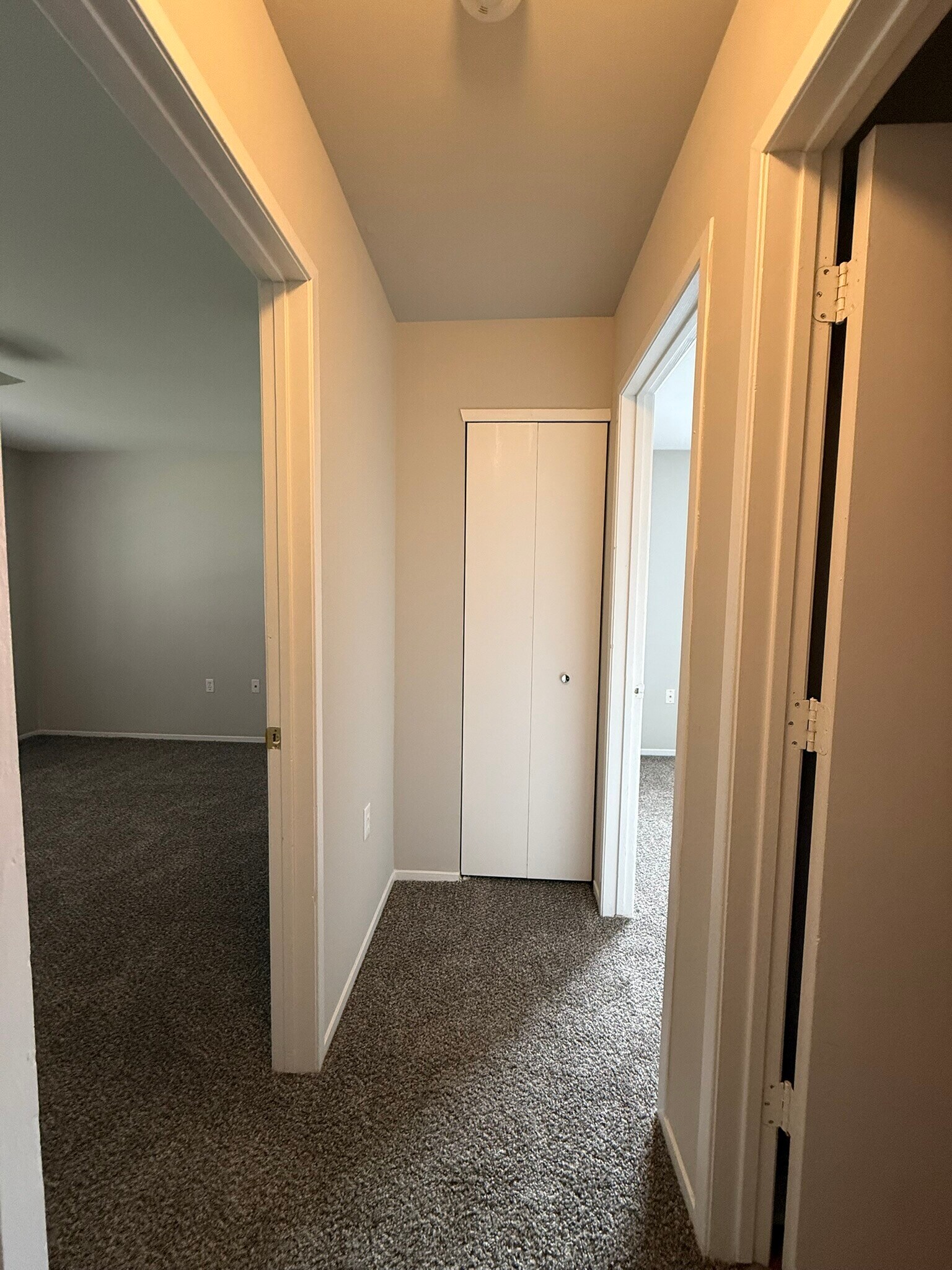 Building Photo - 1256 Oxford Manor Ct