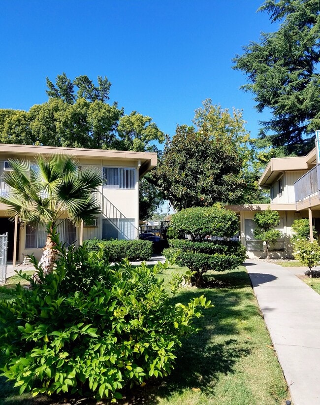 Primary Photo - Pacific Arms Apartments