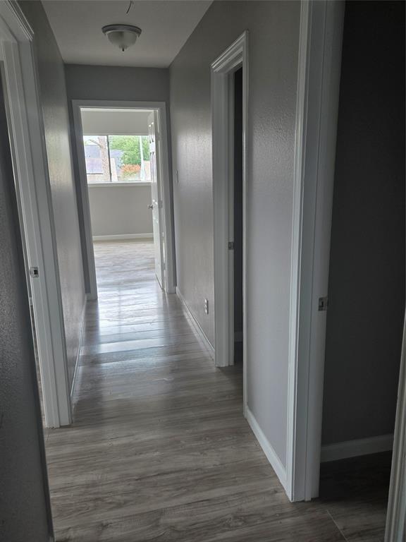 Building Photo - 12206 Preakness Way