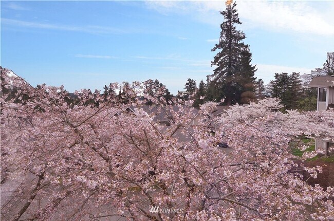 Building Photo - Your Sun-Drenched Redmond Retreat Awaits!