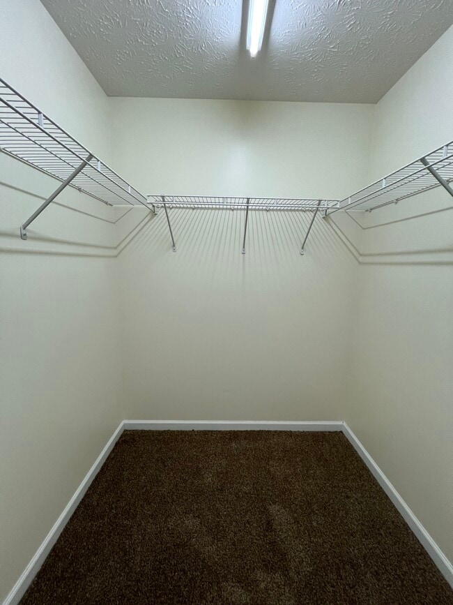 Building Photo - 3241 Wade St